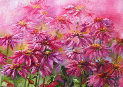 Rausvažiedės ežiuolės