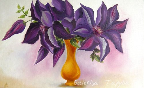 Barchatiniai žiedai