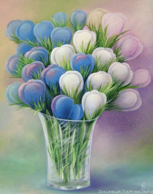 Mėlyni ir balti krokai