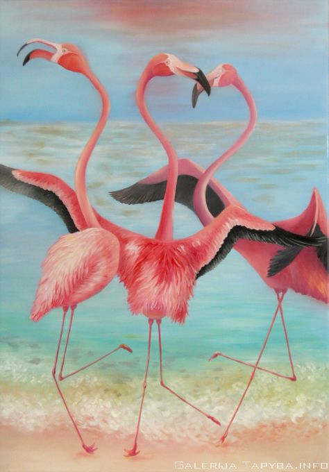 Flamingų šokis
