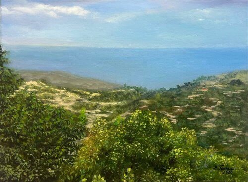 Žvilgsnis nuo aukštumos