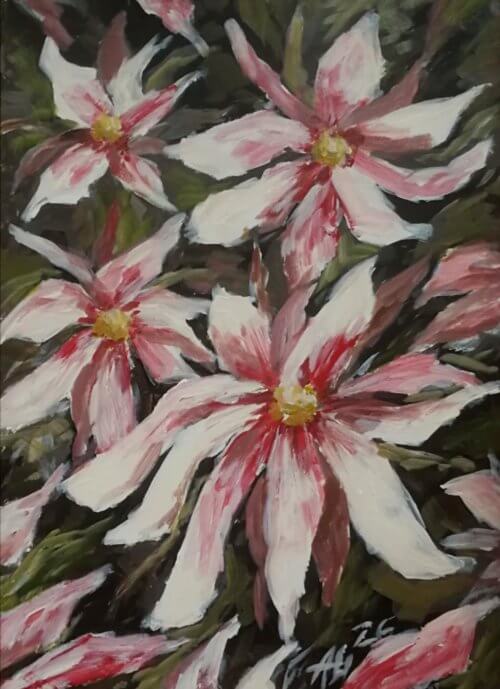 Magnolija