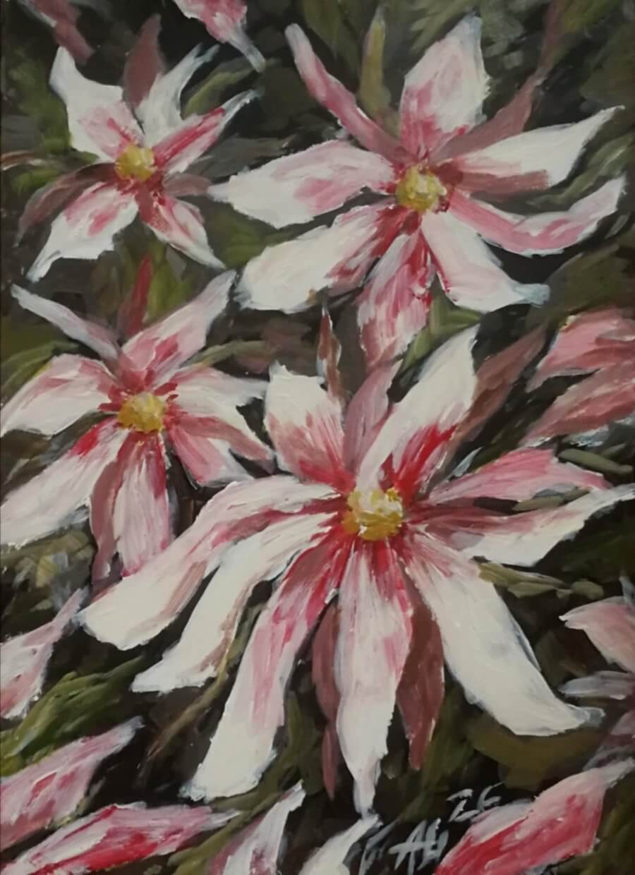 Magnolija