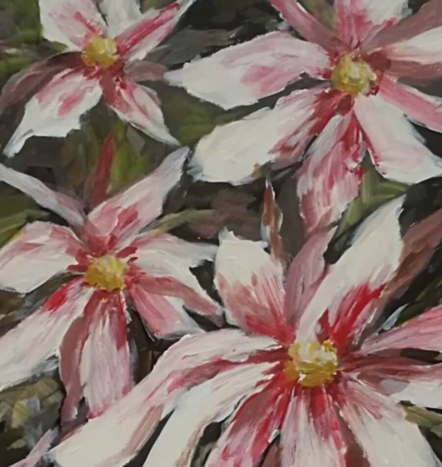Magnolija