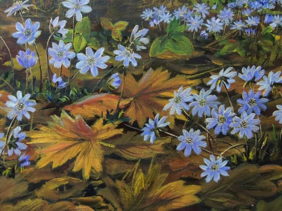 Miškas pabunda iš žiemos miego