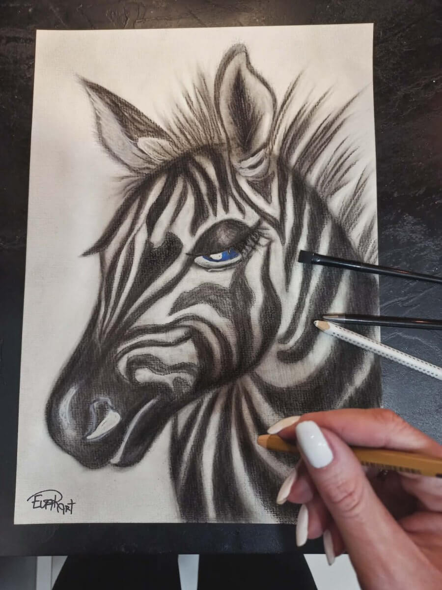 Zebras