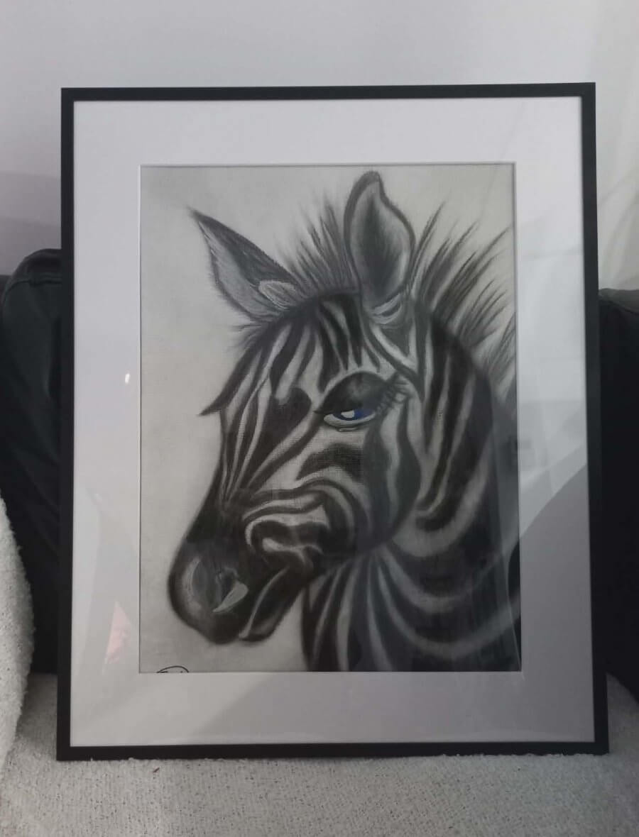Zebras